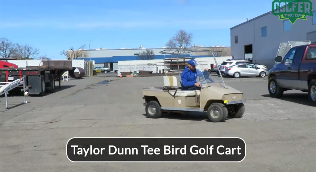 Taylor Dunn Tee Bird Golf Cart