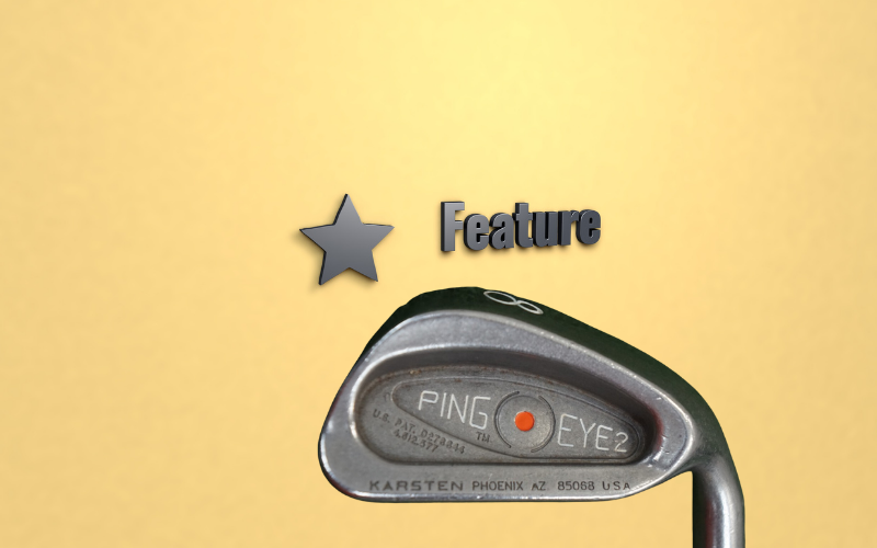 Ping Eye 2: Features and Specs