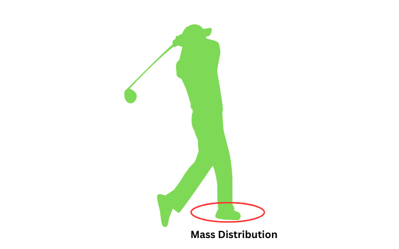 Distribution of The Mass